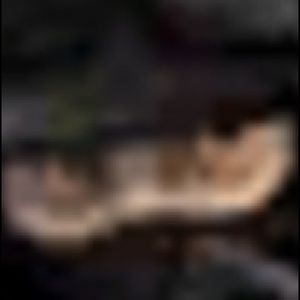 Meet your Posher, Erik